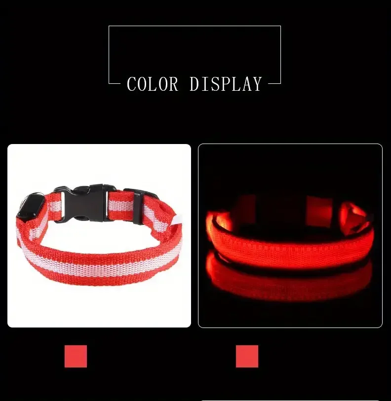 Nylon LED Dog Leash