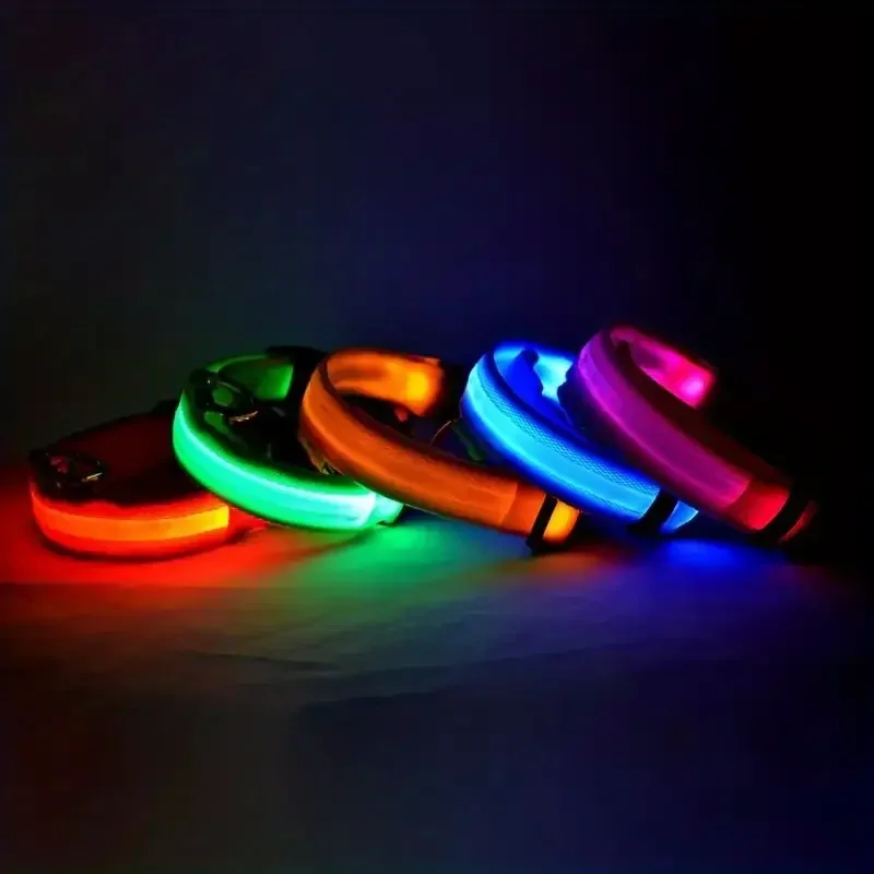 Nylon LED Dog Leash