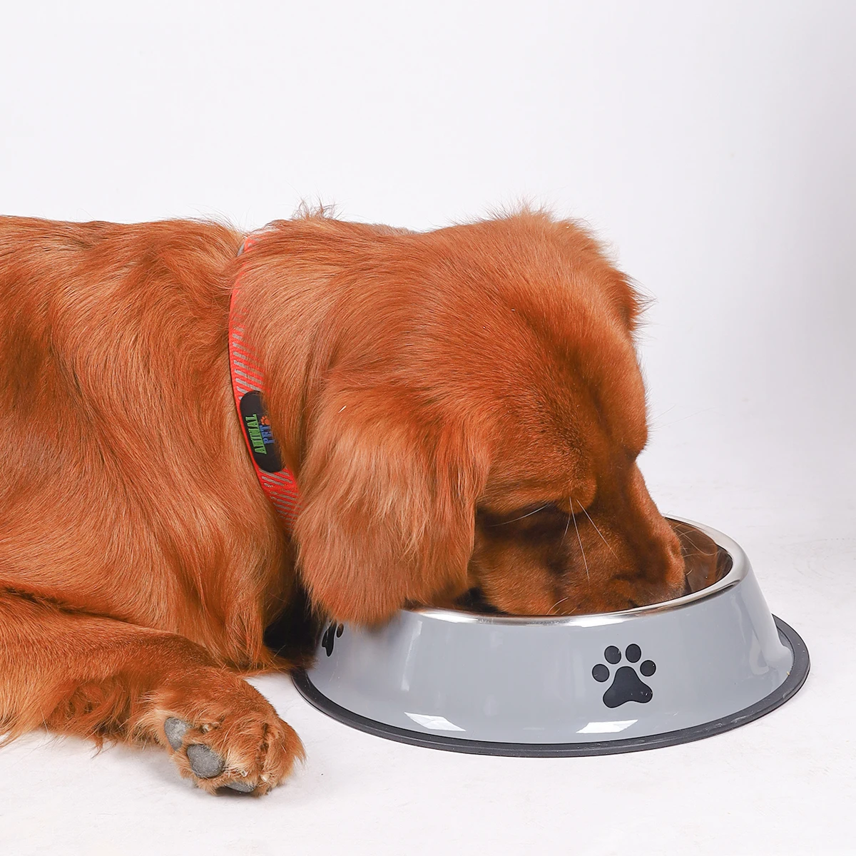 Stainless Steel Pet Bowl